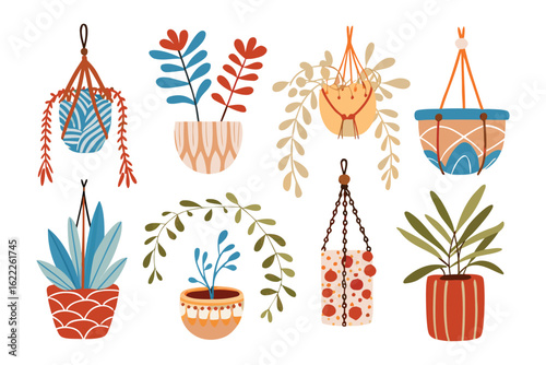 Artistic Garden Assortment: An array of hanging planters showcases a variety of botanical life forms, their colorful design radiating a contemporary atmosphere and visual elegance.