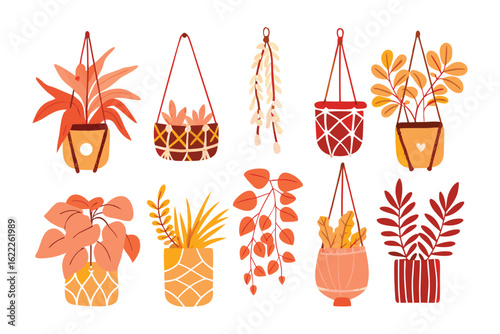 Hanging Planters: Assortment of decorative hanging planters showcasing a variety of vibrant foliage in a modern illustration style.