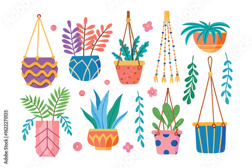 Hanging Plants Collection: A vibrant collection of decorative hanging plants brings a touch of nature's serenity. This image captures a delightful assortment of flora.