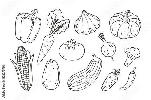 Drawn Vegetable Assortment: This intricate black and white drawing features an assortment of fresh vegetables, each detail meticulously rendered.