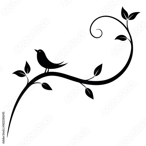 Cute bird couple on vine branch black silhouette