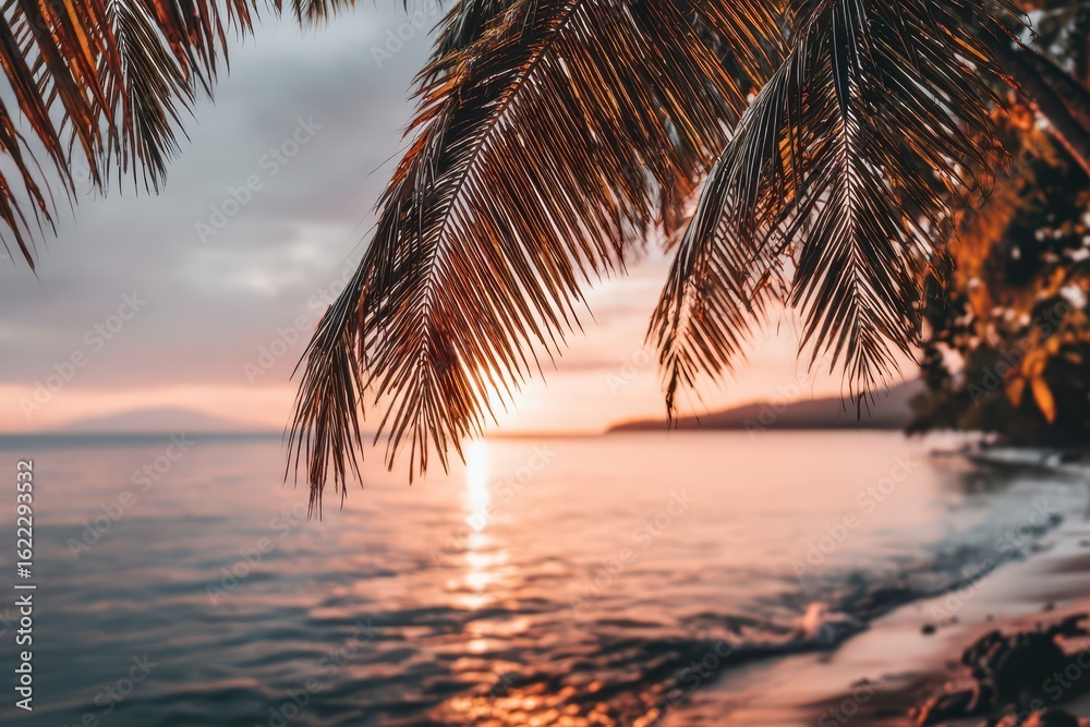 Fototapeta premium Palm fronds frame sunset over tranquil ocean
