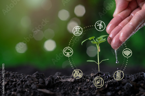 Photography Young plant growth nurturing with water and digital technology icons agriculture