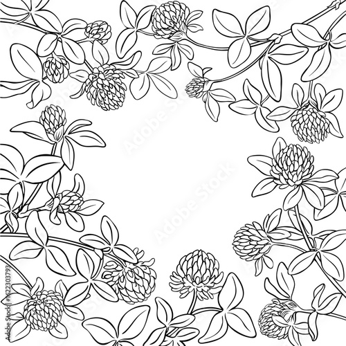 Clover Branch with Flowers and Leaves Outline Frame. Vector isolated for design or decoration.