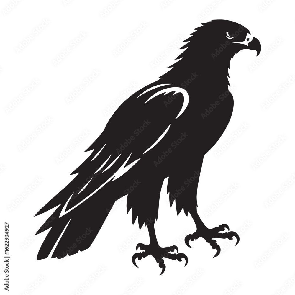 Fototapeta premium Striking Hawk Silhouette – Hawk Vector Artwork Depicting Graceful Hunting Bird – Hawk Illustration – Bird Silhouette – Silhouette of Hawk
