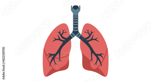 Stylized Human Lungs with Trachea and Bronchial Tree Illustration