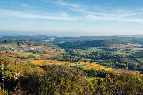 Paysage de vignes en Bourgogne. Vignoble de Beaune. Vins de la Côte d'Or. Panorama de viticulture en automne. Parcelles de vignes automnales. Couleurs de l'automne