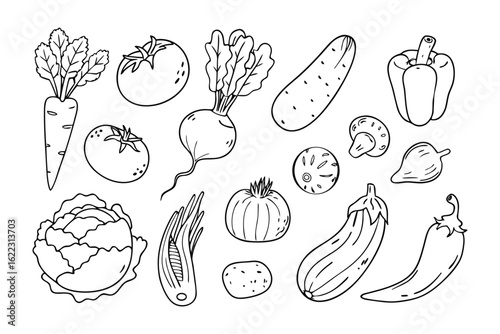 Vibrant Harvest: A detailed illustration of a colorful array of fresh, healthy vegetables, celebrating the bounty of the earth.