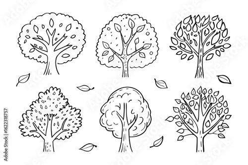 Set of hand-drawn trees and leaf: A collection of artistic hand-drawn trees and leaves, perfectly designed for a minimalist project, an embodiment of simple beauty and nature's essence.