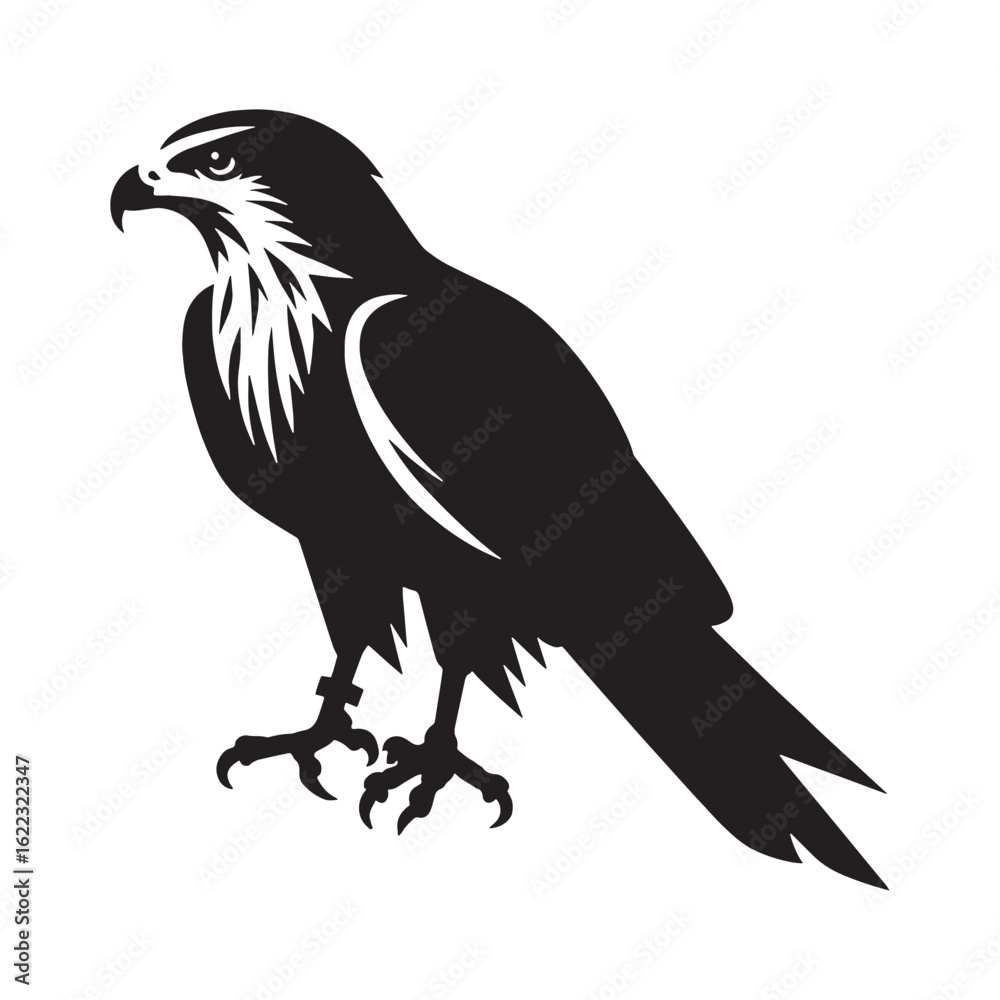 Fototapeta premium Sleek Kite Silhouette – Kite Vector Graphic Highlighting Streamlined Predator Shape – Bird Silhouette – Black Vector of Kite