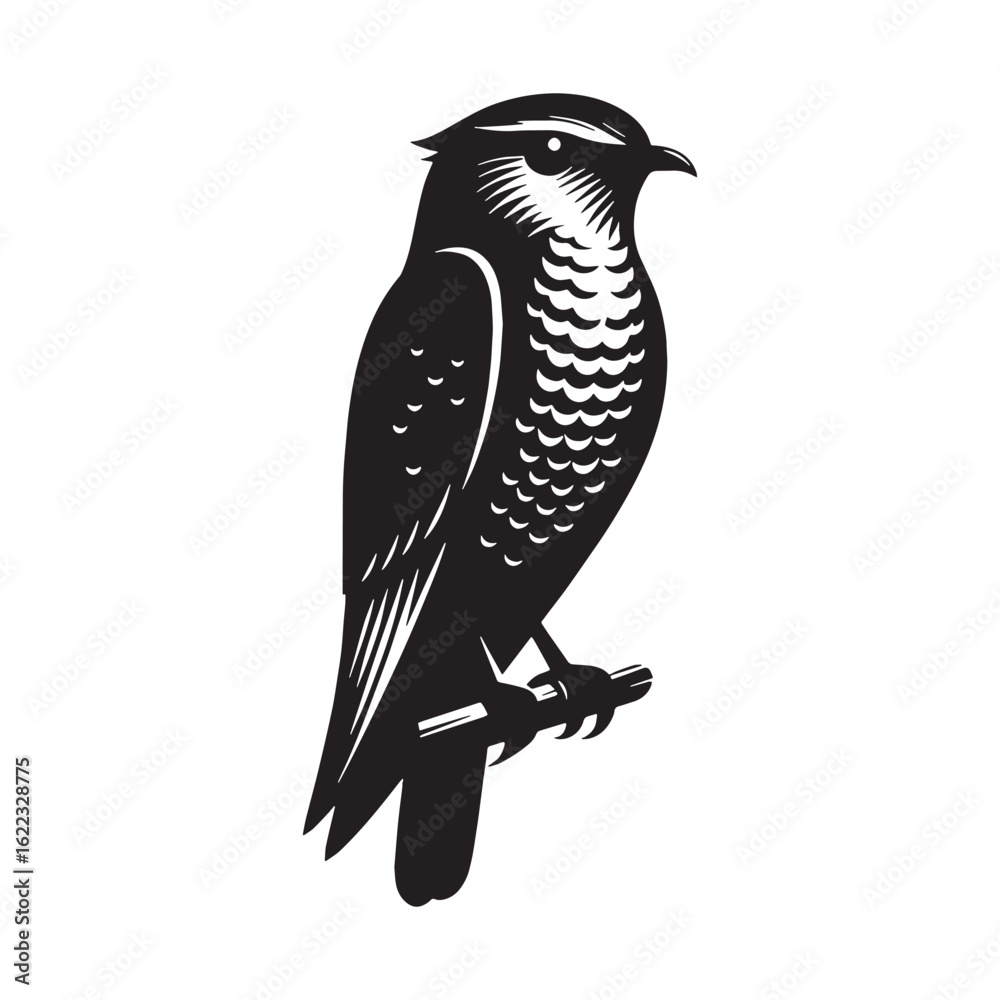 Fototapeta premium Refined Nightjar Silhouette – Nightjar Vector Graphic with Clear Outline and Long Wings – Bird Silhouette – Black Vector of Nightjar