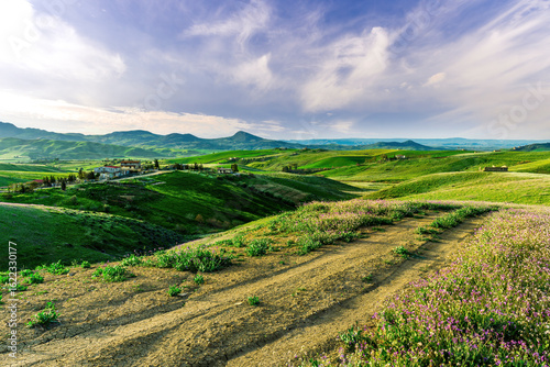 beautiful spring colorful flowering meadow with bright green hills of farm grassland and rustic path road leading far away to countyside valley and vivid sky of landscape