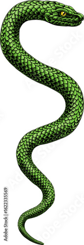 Snake Coiled Serpent Vintag...