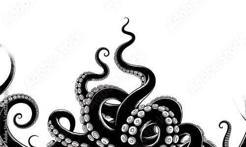 Black and white octopus tentacles illustration