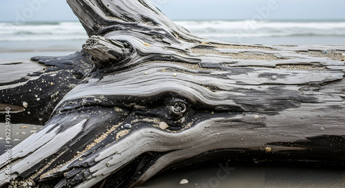 Weathered driftwood log on sandy beach with shells and ocean backdrop