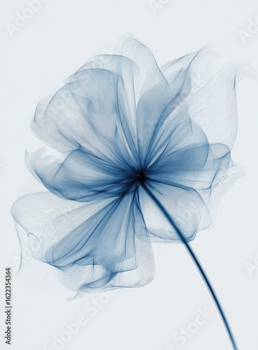 Delicate, ethereal flower in shades of blue-gray, seemingly X-rayed or translucent