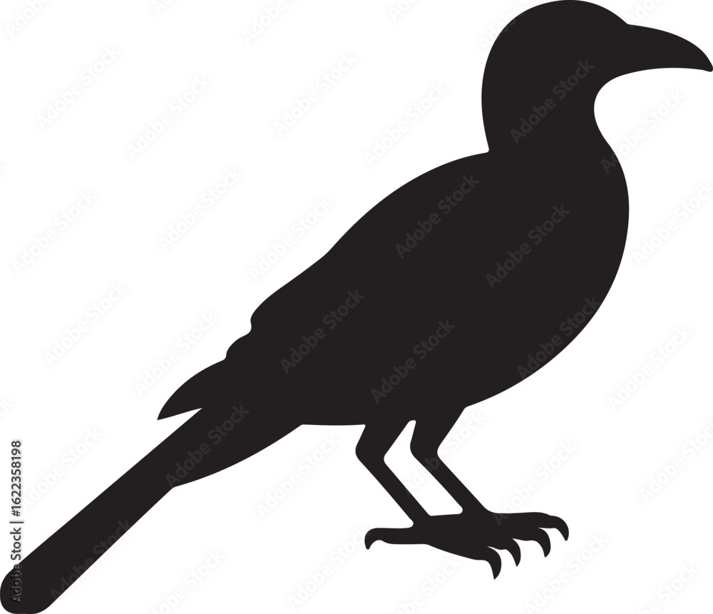 Fototapeta premium Sequential series vector of crow flying on white background