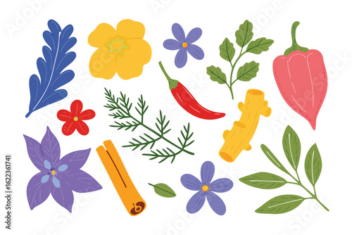 Botanical Spice Collection: An artful compilation of culinary delights, showcasing an array of vibrant spices, leaves, and flowers, meticulously arranged with illustrative detail.