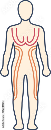 Full body lymphatic drainage massage diagram for health and wellness concept