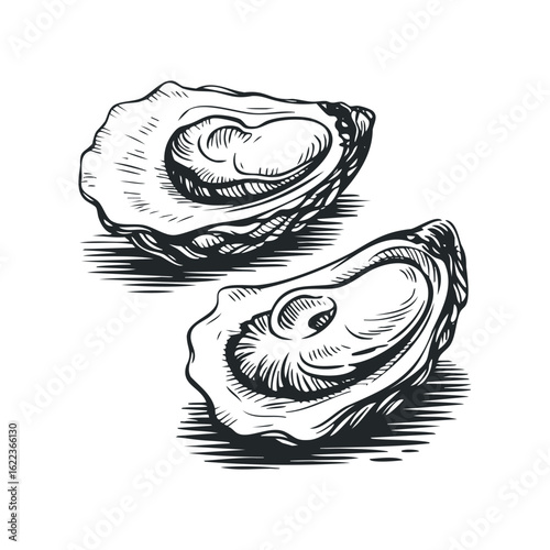 Freshly opened oysters ready for seafood lovers to enjoy