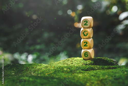 Sustainable development goalStart a new year 2026 to achieve business goals environment (SDGs) Ideas for wood cube block on a green forest nature SDGs, ESG, NetZero, and co2 concept