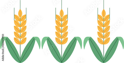Vector wheat illustration for agriculture and farming industry graphic design use