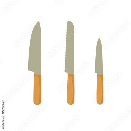 Set of kitchen knives with wooden handles