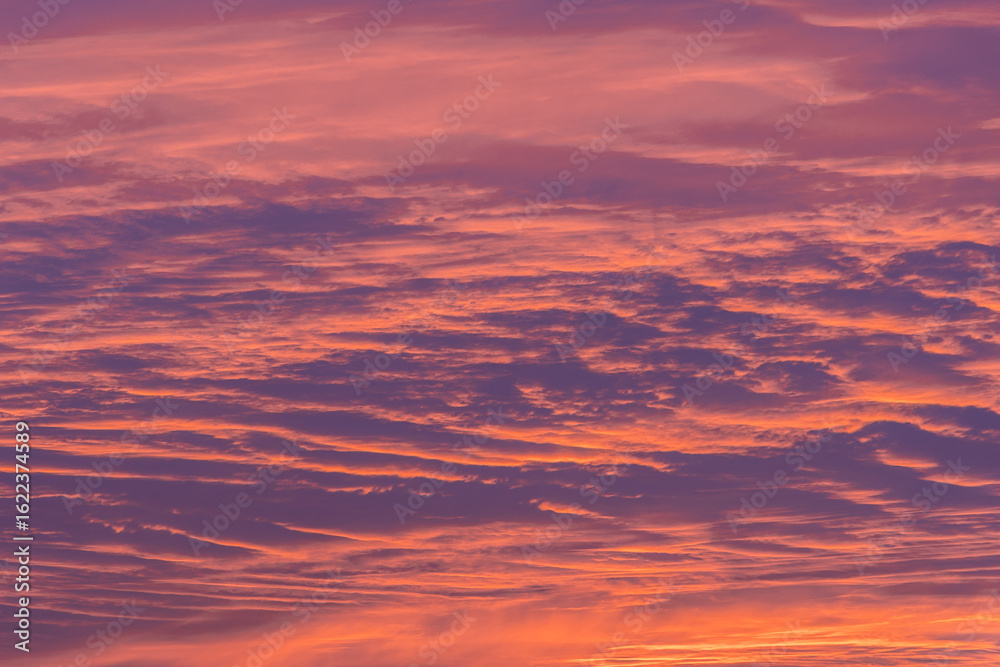 Fototapeta premium Pink cloudscape during spring susnet