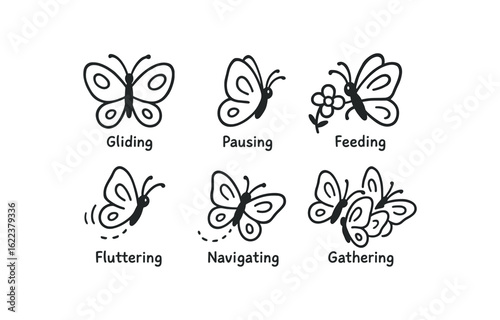 hand drawn cute doodle style line isolated on white background butterfly migration (actions): gliding pausing feeding fluttering navigating gathering