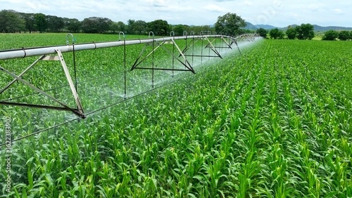 Aerial view by drone showing center pivot irrigation spraying water across green fields, illustrating modern irrigation methods that boost crop health and promote efficient water usage.

