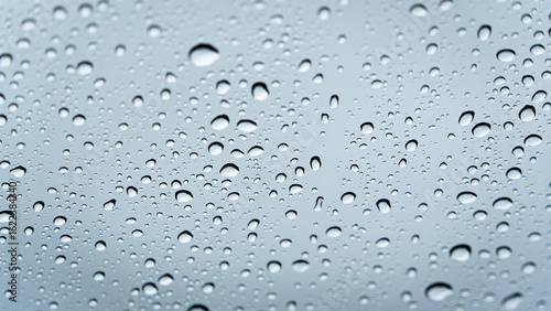 Wallpaper Mural This image showcases the intricate textures formed by numerous water drops on a smooth glass plane, with a subtle grey tone. Torontodigital.ca