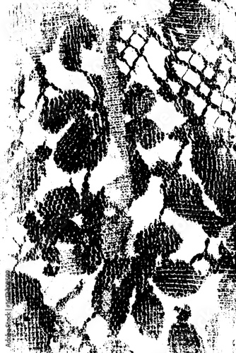 Elegant floral lace pattern in black and white for decor and design