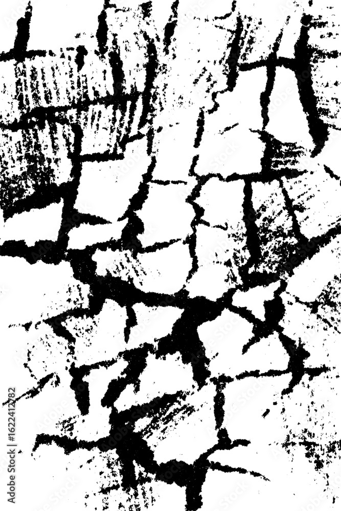 Obraz premium Black and white shattered ceramic texture for distress effect and creative design