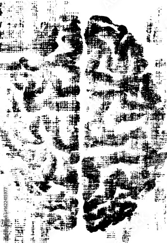 Distorted black and white brain scan texture for abstract design