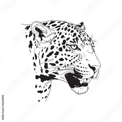 Distinctive Jaguar Line Art – Jaguar Vector Outline Drawing with Smooth Curves and Bold Spots – Jaguar Drawing – Vector of Jaguar – Jaguar Outline

