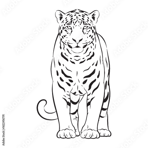 Iconic Jaguar Line Art – Jaguar Vector Outline Drawing with Sharp Defined Structure – Jaguar Drawing – Vector of Jaguar – Jaguar Outline

