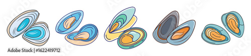 Colorful Mussel Shell Collection – Seafood Illustration Set

