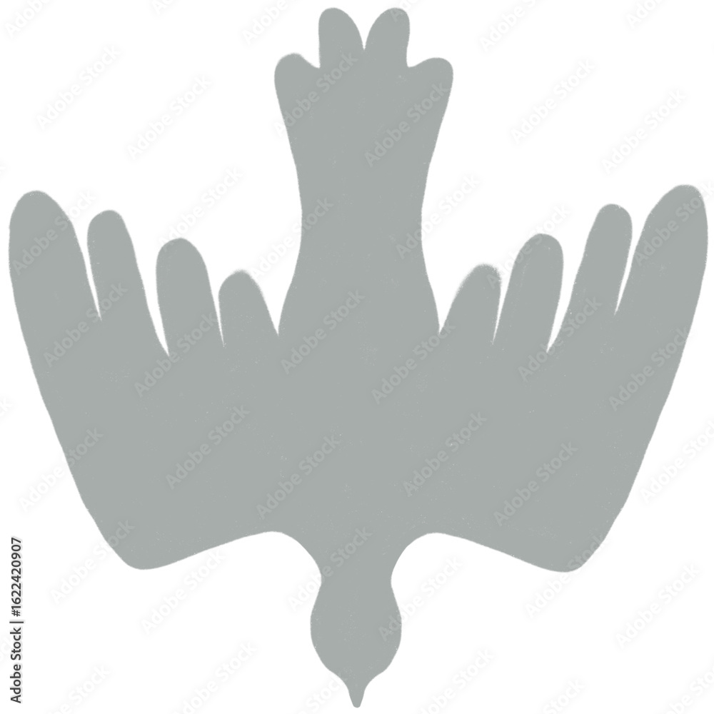 Obraz premium pigeon