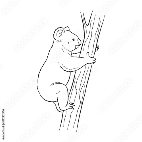 Elegant Wildlife Koala Line Art – Koala Vector Illustration Fine Drawing with Simplified Style – Koala Drawing – Line Art Drawing of Koala – Koala Icon


