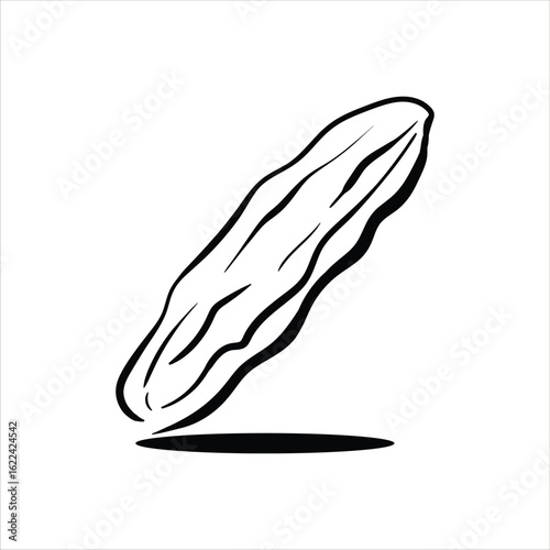 Lineart Bitter Melon Vector Illustration Minimalist Lineart Style