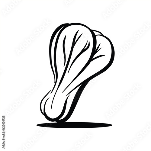 Lineart Pak Choy Vector Illustration Minimalist Lineart Style