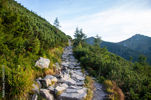 Fototapeta Naklejka Na Ścianę i Meble -  Rocky mountain trail through pine forest in Tatra Mountains, Zakopane, Poland.
Stone hiking trail surrounded by pine trees and mountain peaks in Zakopane