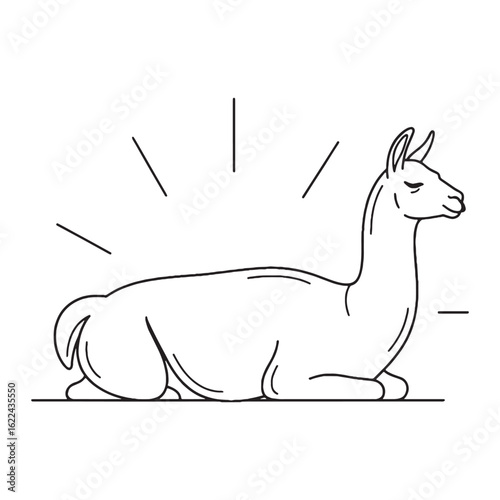 Standing Llama Line Art – Llama Vector Artistic Drawing with Calm Posture – Llama Drawing – Vector of Llama – Llama Outline

