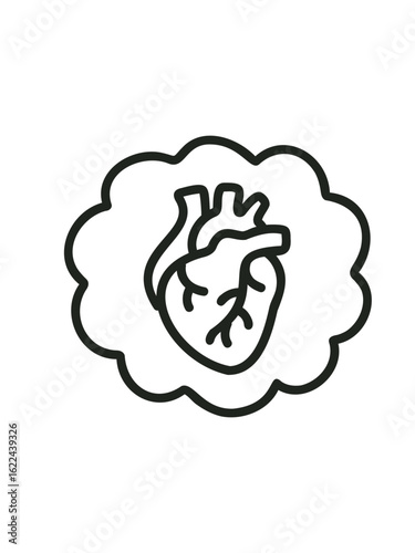 doodle illustration of human heart structure
