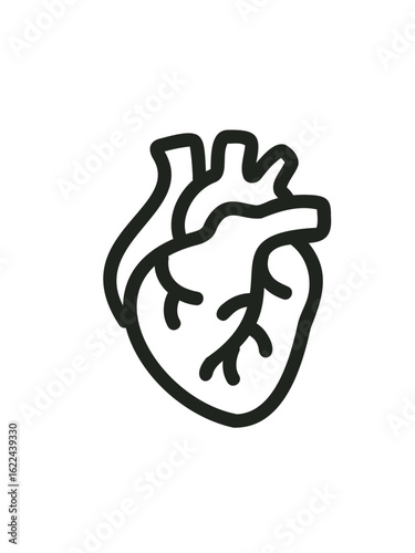 doodle illustration of human anatomical heart