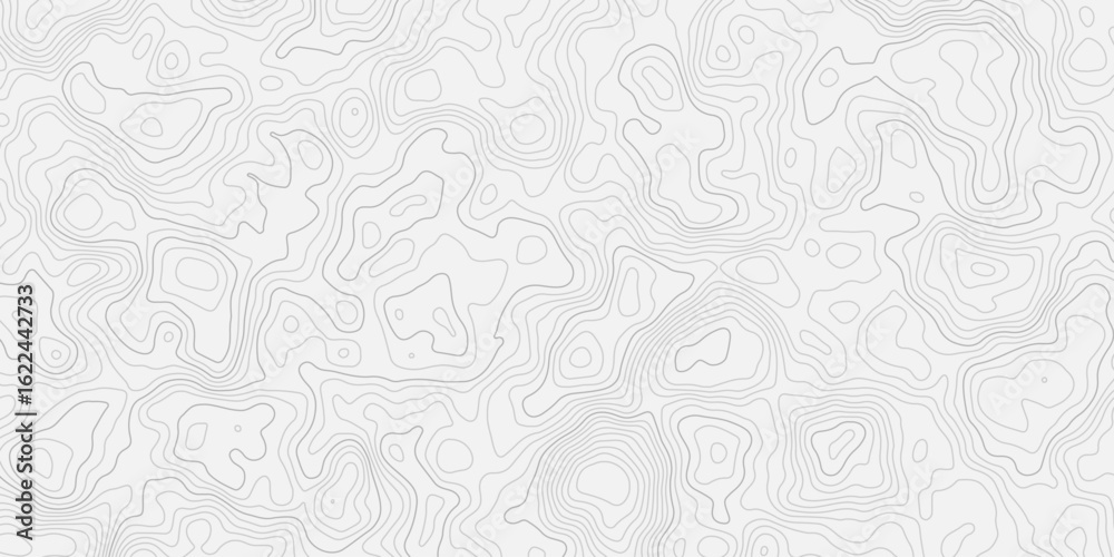 Fototapeta premium modern seamless style black lineTopographic map contours curve line Hand-drawn vector pattern Wave textures white and gray white background. 