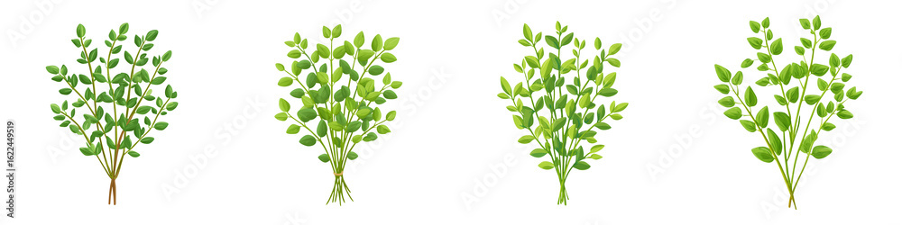 Naklejka premium Green Leaves Twigs Set Isolated on White Background