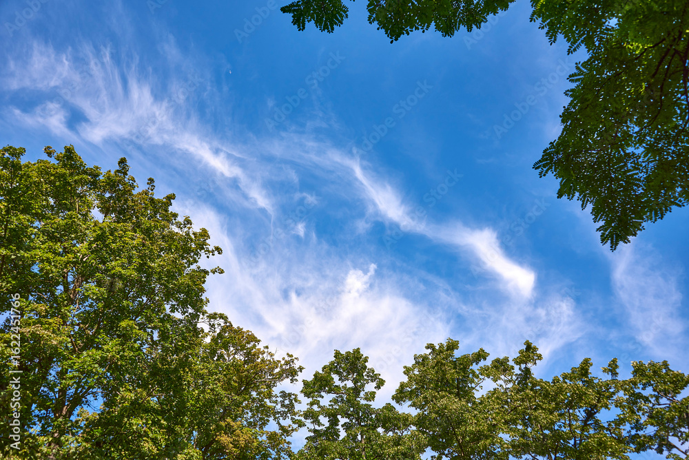 Obraz premium Schloss Chenonceau