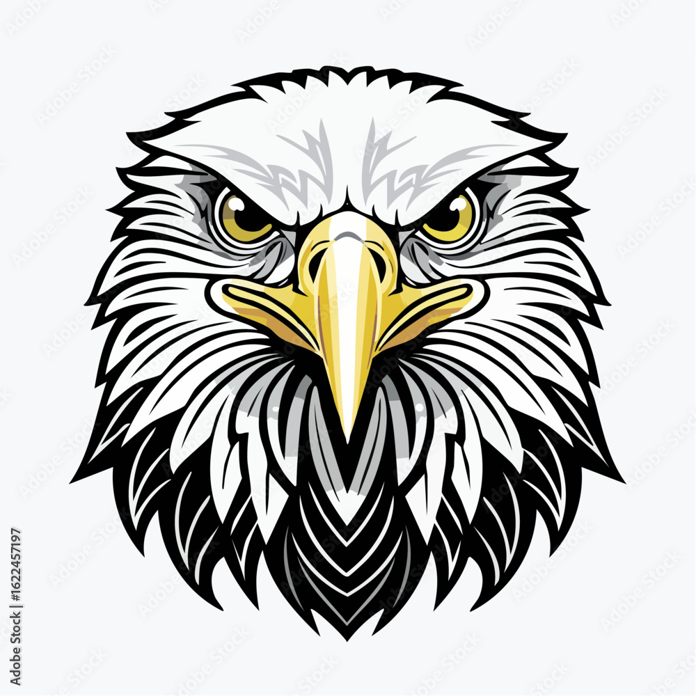 Fototapeta premium eagle's face