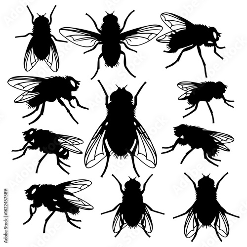 Fly Silhouette Vector Graphics and Stock Illustrations